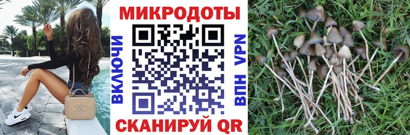 Псилоцибиновые грибы мухоморы  Печора 